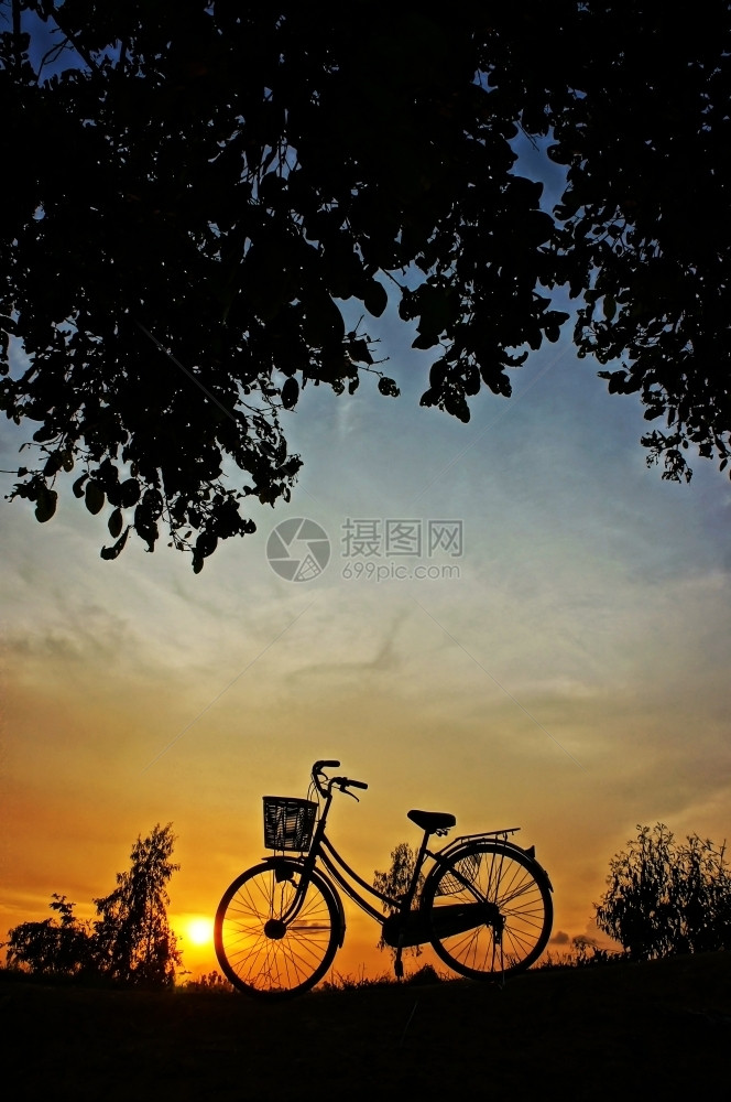 美丽的自然景观给人以太阳的印象和乡村日落时骑自行车的轮光影黄色惊人户外图片