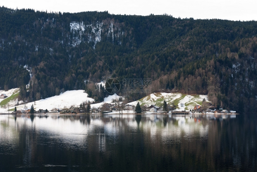 反思在瑞士祖格附近的湖面上照片反射支撑冷杉图片