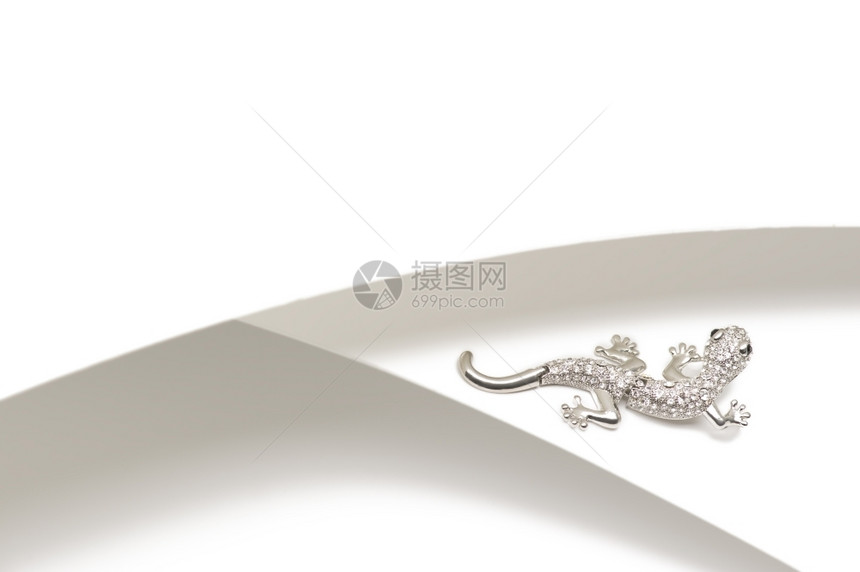 宝贵的立方体氧化锆银宝石蜥蜴胸针套装有闪亮立方zircononias或diramante用于双色银和白面彩背景及复制空间的时装配图片