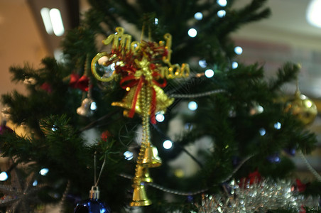 圣诞节和新年假日背景蓝色的期树图片