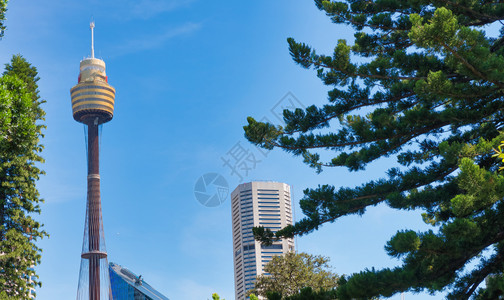 摩天大楼港口在澳洲阳光明媚的一天从海德公园看到悉尼的天际线门户14天线高清图片素材