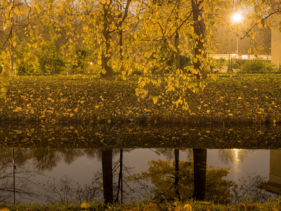 夜间公园照明河岸的夜景水银行观图片