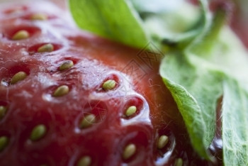 木头浆果草莓实特写成熟的红草莓特写床图片