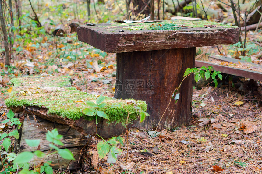 落下空的森林里桌子和长凳带游客的桌子带游客长凳的桌子森林里和长凳木头图片