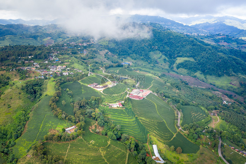 从无人驾驶飞机的空中观察山上亮莱泰陆空风景上的绿色茶叶木板农田清迈工作景观图片