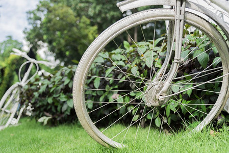 复古的花园背景白色自行车文艺和然概念关闭和自行车手柄轮钟图片