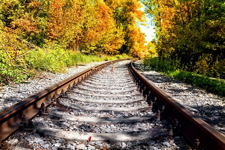 树木景观秋天森林里的铁路延伸到远方秋天森林里的铁路空图片