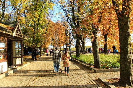 路人行道步们在有大树的秋季城市公园散步人们消磨时光家庭周末秋季假期家庭度旅游理念城市生活家庭在公园散步人们在秋季城市公园与大树散背景图片