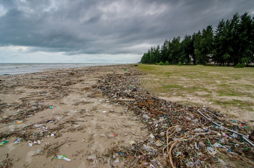 水下环境填满海滩的塑料废物环境图片
