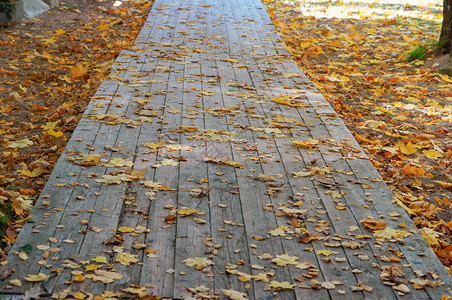 行人长椅明亮的木路上黄色落叶秋天的人行道木路上的黄色落叶图片