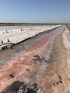 盐水美丽的湖粉红水湖的景色在夏日独特天图片