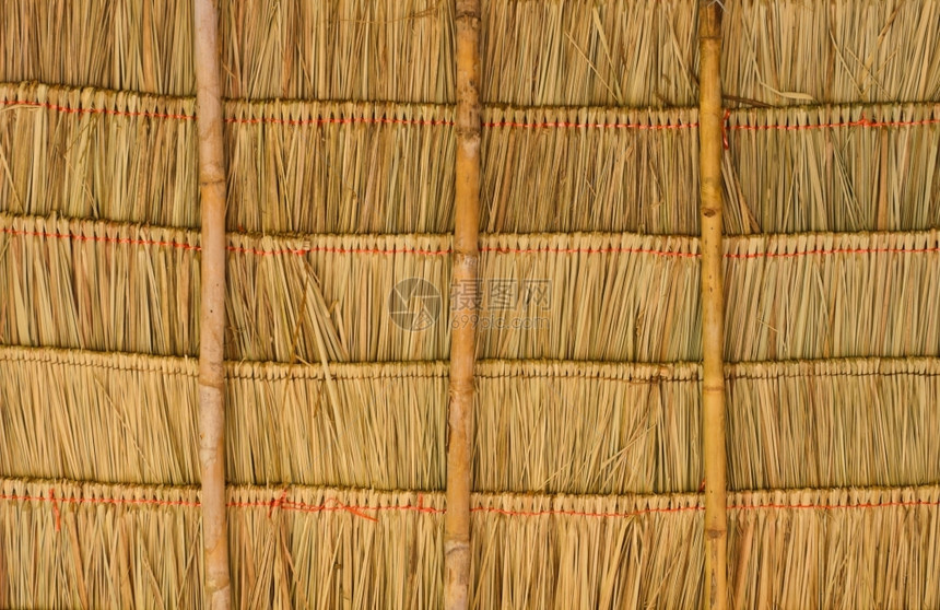 优质的夏天部落泰国热带潮湿屋顶图片