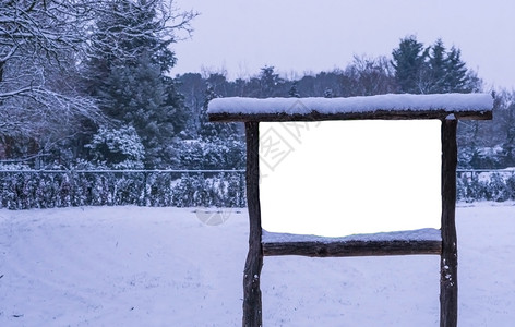 圣诞节木头雪中森林冬季宣传广告牌上空的木板和白纸广告板层图片