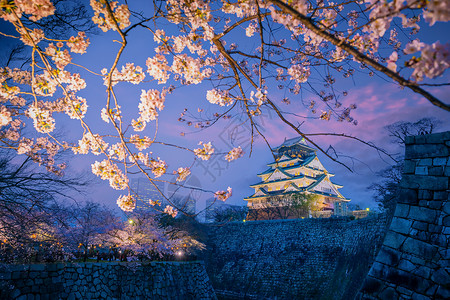 千本樱遗产晚上世界大阪城堡的暮光日落时在本樱花开季节背景