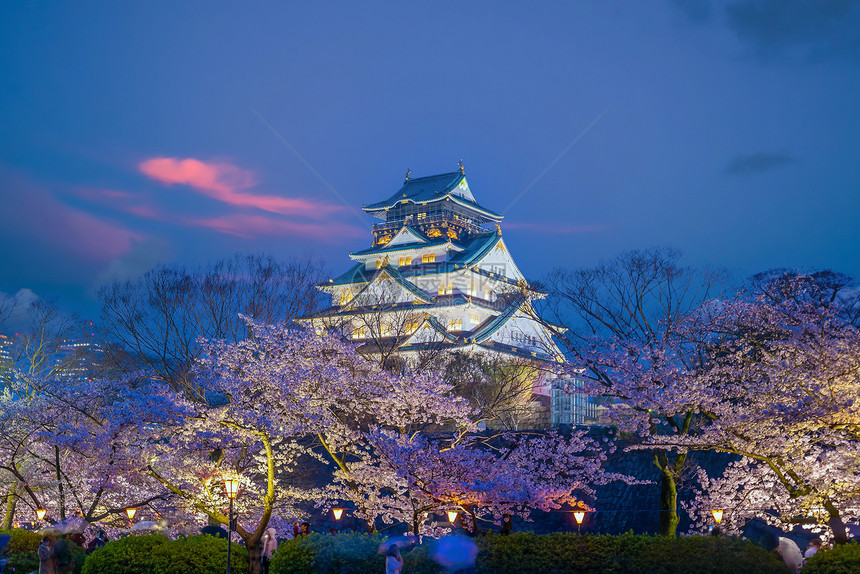 大阪城堡的暮光日落时在本樱花开季节建筑学旅游花见图片