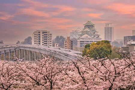 千本樱亚洲旅行大阪城堡的暮光日落时在本樱花开季节吸引力背景