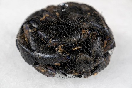 冰上包袋里的新鲜生贝类紧闭健康真空一顿饭图片