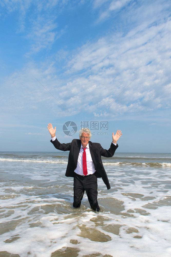 穿正式西装的商人手举起站在海上维林克自然荷兰语图片