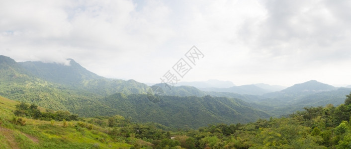绿色云长的野生森林山地和树木环境图片