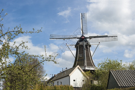 旅游荷兰传统的城市风景中荷兰传统木制风车场地标图片