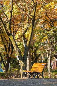 田园诗般的小路秋天在公园的共园人行道图片
