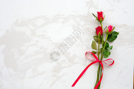 白大理石背景上的红玫瑰图片