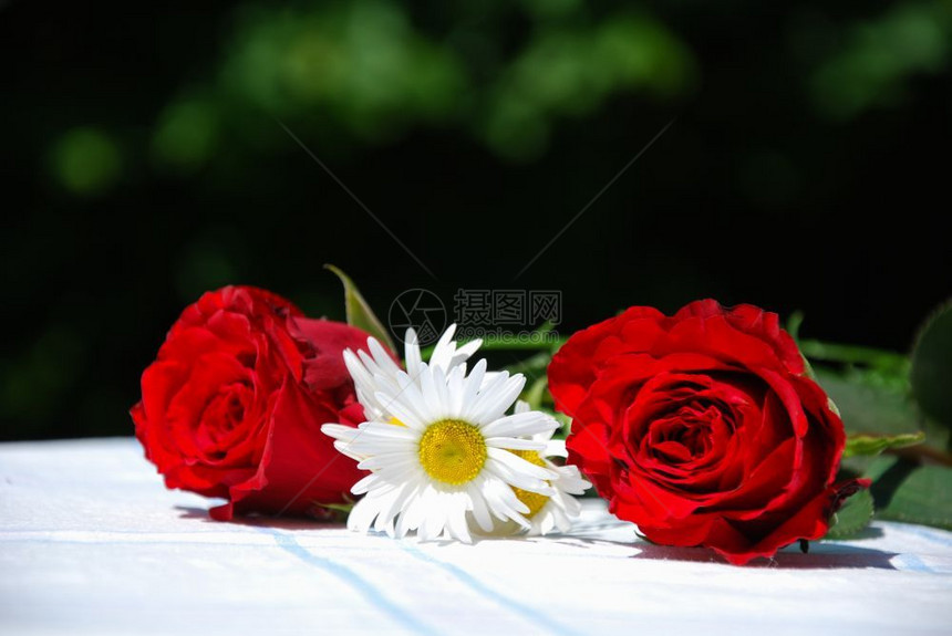 浪漫的装饰庆典夏花红玫瑰和菊在户外的桌子上图片
