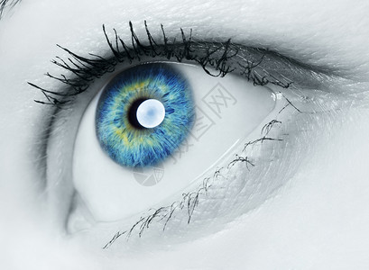 眉梳模型蓝色和绿的伊丽丝眼睛年轻的设计图片