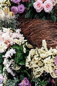 粉色的植物学彩多的花朵背景图像摄影图片