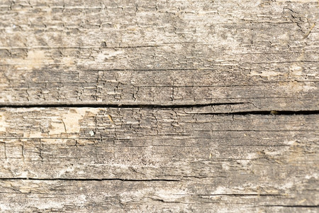 粮食结棕色木质纹理摘要背景空模板结构体图片