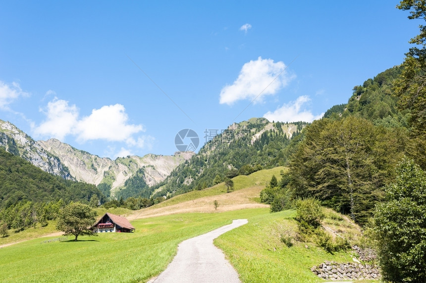 意大利弗里安阿尔卑斯山的区地貌木制纳达林全景图片