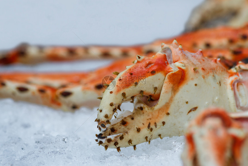 美食鱼市新鲜海螃蟹爪图片