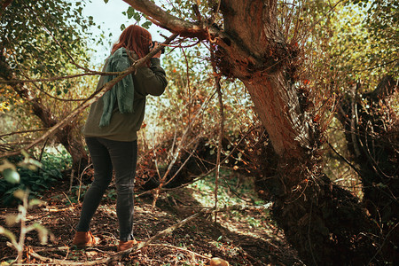 服用下午照片年轻女子用旧的模拟相机在森林里拍照成人高清图片素材