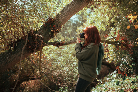 自然植物老的年轻女子用旧模拟相机在森林里拍照摄影师高清图片素材