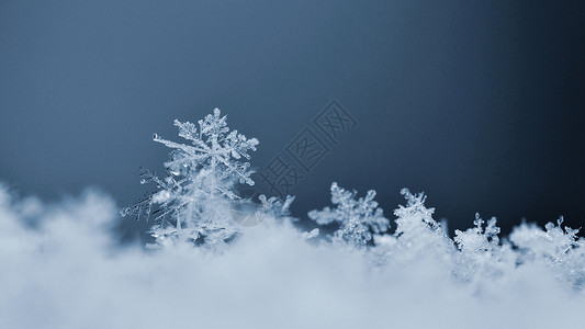 象征雪花宏观照片真正的雪晶美丽冬天背景季节自然和冬天的气黑色蓝背景图片