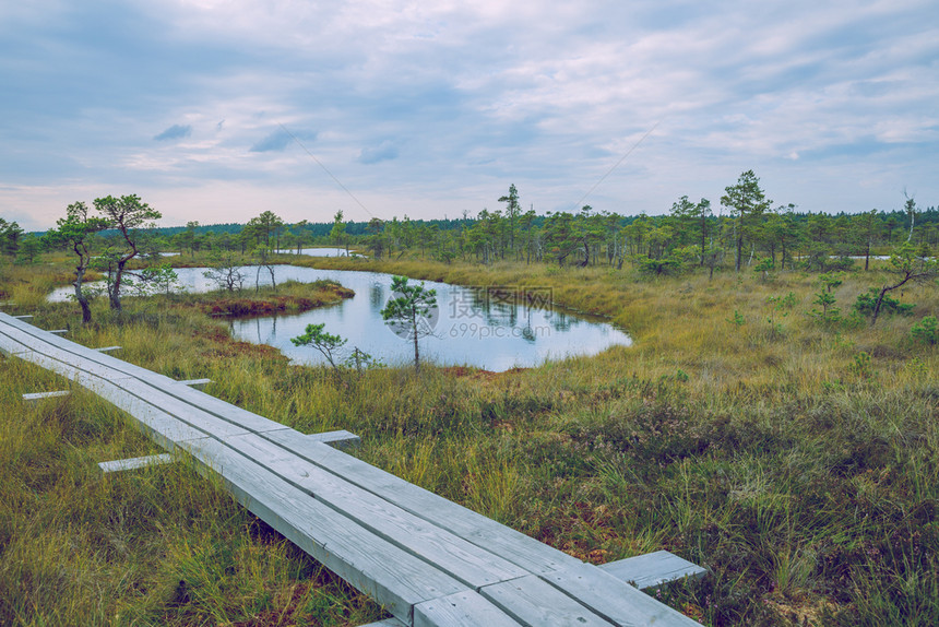 波罗的海拉脱维亚沼泽公园2015年凯梅里国民风景优美图片