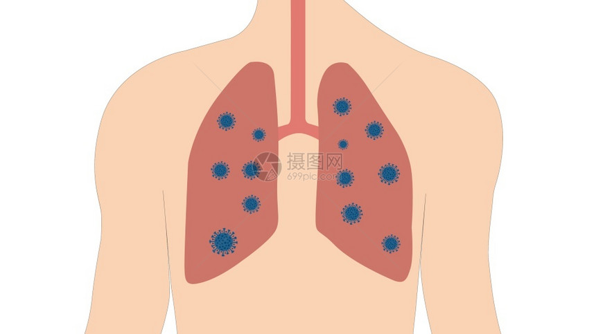 呼吸系统与肺部的人体免疫突然新冠图片