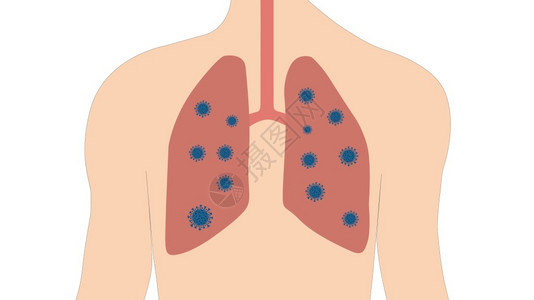 呼吸系统与肺部的人体免疫突然新冠图片