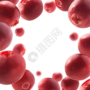 蔓越莓水果红色蔓越莓漂浮在白色背景上红蔓越莓漂浮在白色背景上维他命圆圈狐莓设计图片
