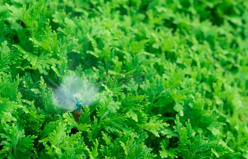 洒水器户外自动草坪喷洒灭水器用浇灌绿色植物Sprinkler配有自动系统的园林灌溉为草地Sprinkler系统供水维护服务管道图片