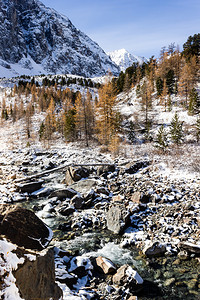 春天树木溪流山河雪中的岩石在山冬季旅行湖高清图片素材