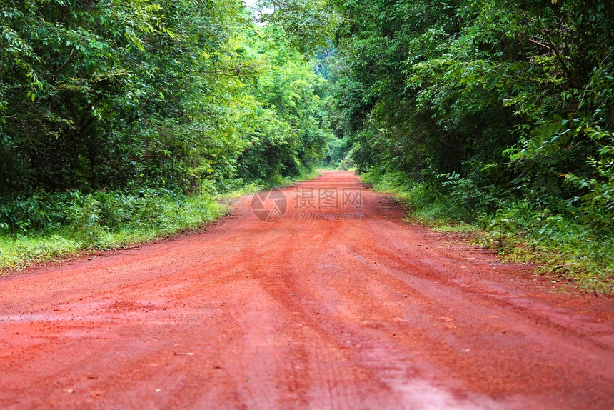 穿过森林的一连串碎石路木头越野草地图片