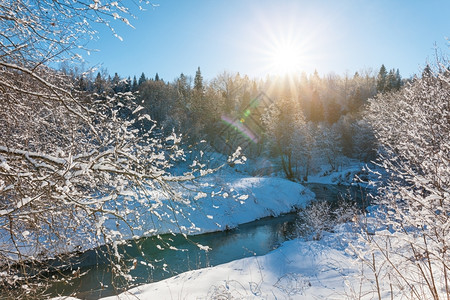 射线支撑冬季风景与森林和小河天空晴朗冬的阳光明亮冬天的雨林树图片