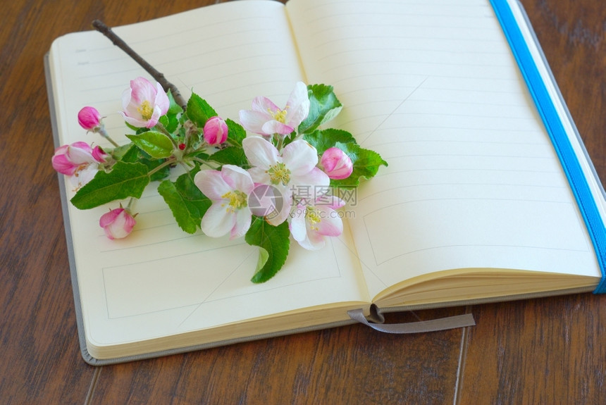 白日记上空的花朵开用浪漫歌词笔记本写作纸带复制空间的公开纸页本一致婚礼信图片