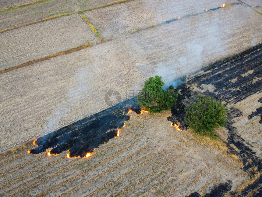 判断危险环境的由无人驾驶飞机焚烧农产品环境保护和全球变暖概念所拍摄的空中射出力与全球气候变暖有关的概念图片