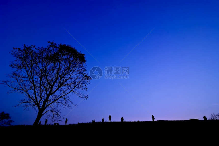 自然太阳年轻摄影师在日落时拍摄景色树旁照片的轮光Silhouette黑色的图片