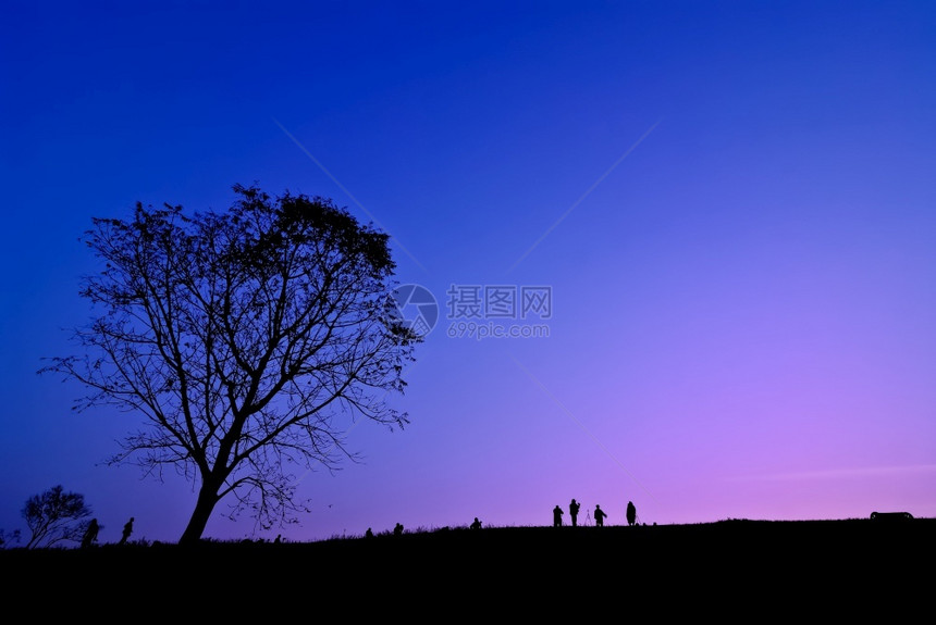 年轻摄影师在日落时拍摄景色树旁照片的轮光Silhouette晚上靠近爱好图片