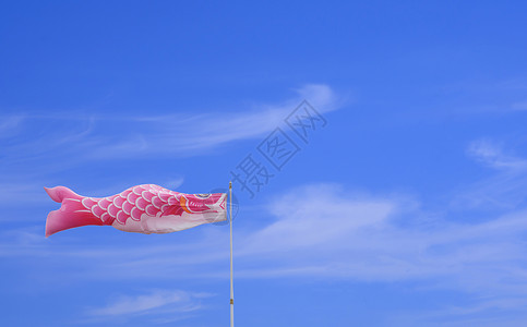 放飞的鲤鱼旗背景