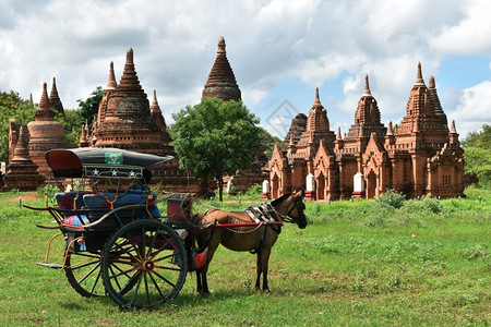 在缅甸古老的巴根神庙前行驶的观光客正在驾车外部的宗教牛图片