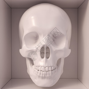 死的毒骨骼大学和专用于教授解剖学的人体头骨医模型经常用于大学和图片